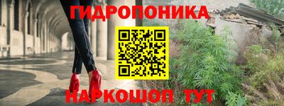 прущие крисы Краснознаменск