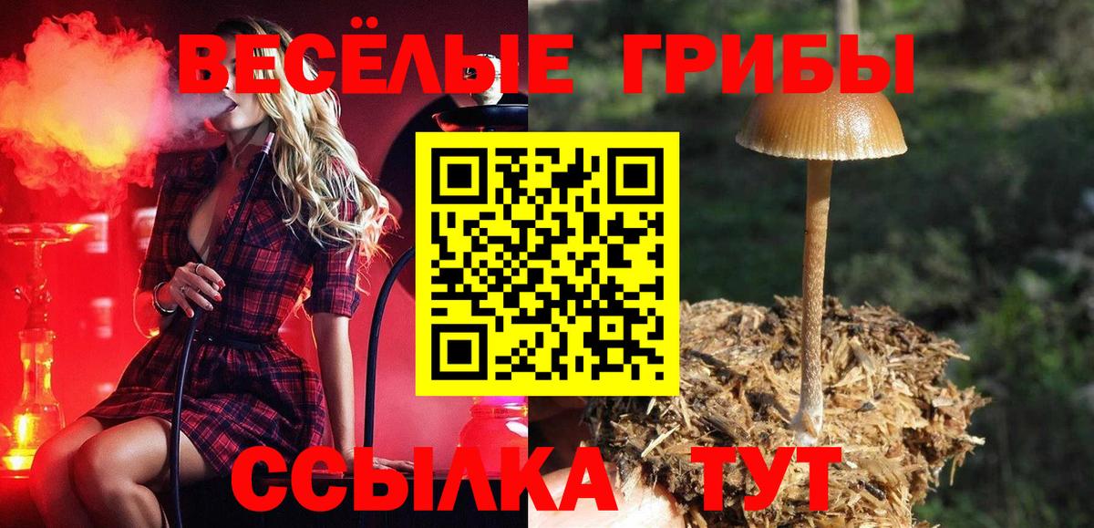 Галлюциногенные грибы ЛСД Красноармейск