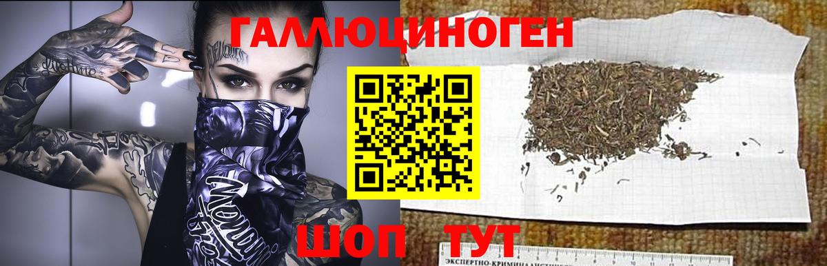 Псилоцибиновые грибы Psilocybine cubensis  Вход с VPN  Красноармейск  Галлюциногенные грибы мухоморы 